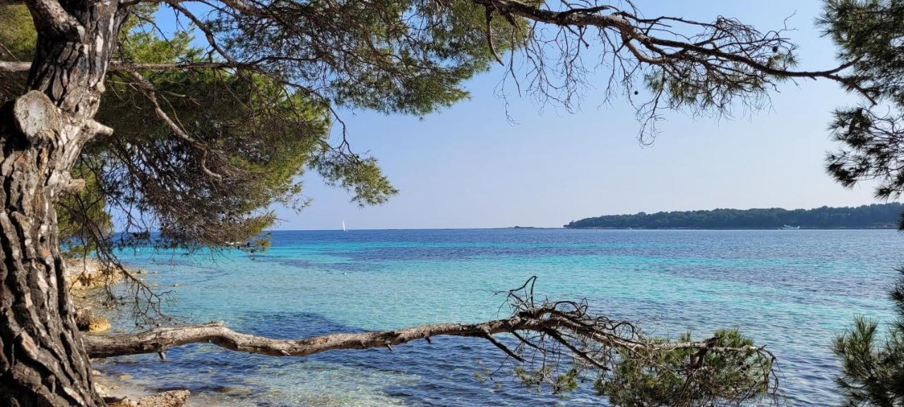 Les Grenadines Du Samedi Au Samedi Apartment Antibes Luaran gambar